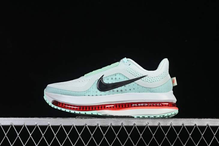 Picture of Nike Pegasus Premium _SKUfw21617934878493820fw